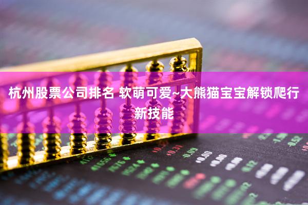 杭州股票公司排名 软萌可爱~大熊猫宝宝解锁爬行新技能