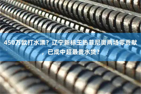 450万欧打水漂？辽宁新标王热菲尼奥两场零贡献，已成中超最贵水货？