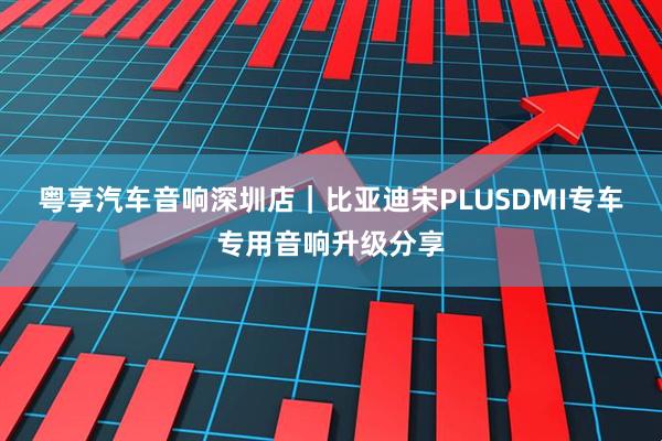 粤享汽车音响深圳店｜比亚迪宋PLUSDMI专车专用音响升级分享
