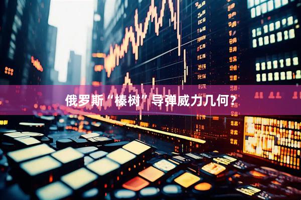 俄罗斯“榛树”导弹威力几何？