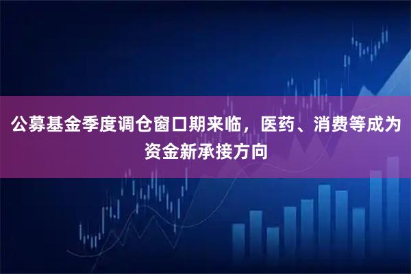 公募基金季度调仓窗口期来临，医药、消费等成为资金新承接方向